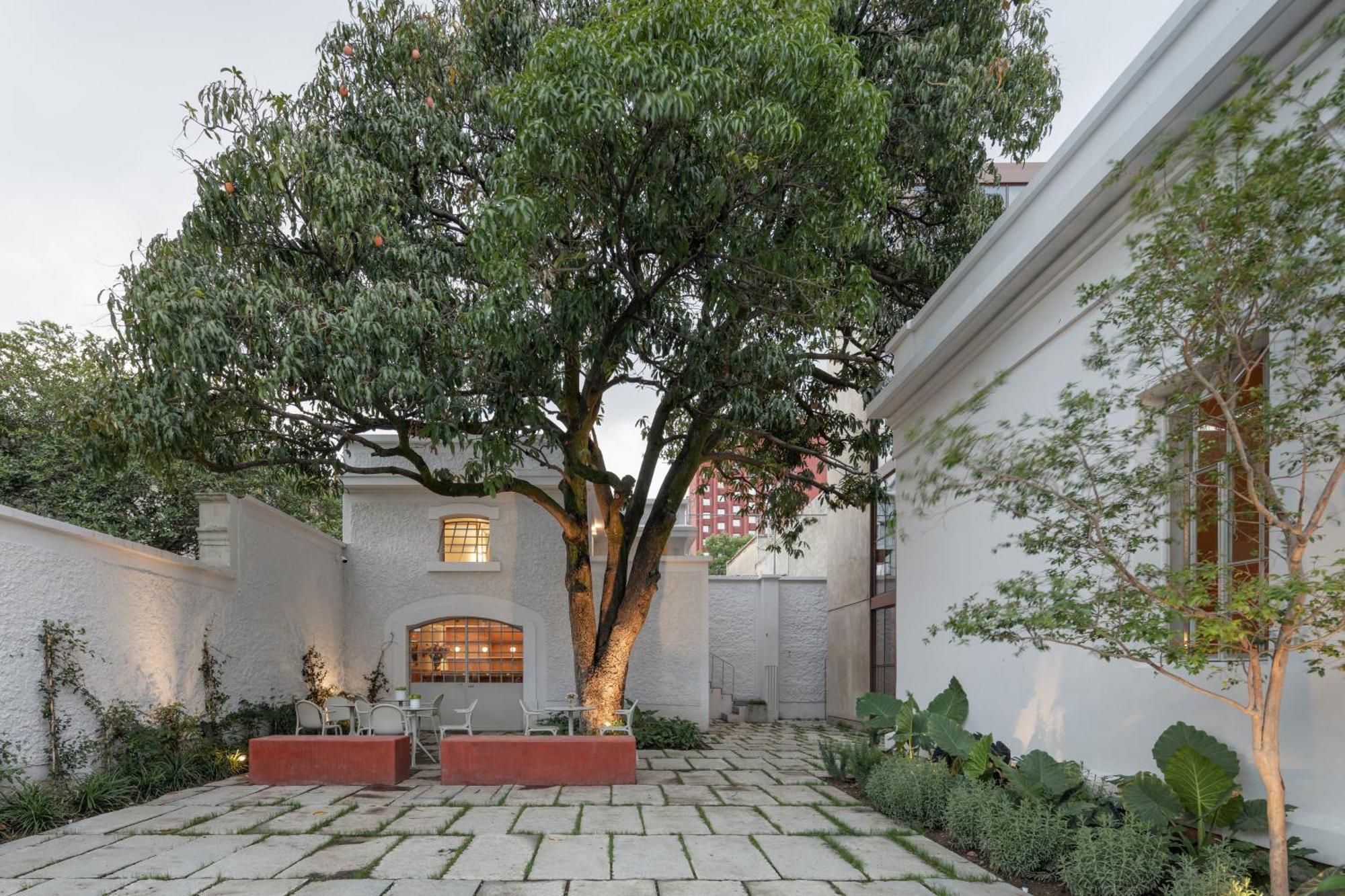 Casa Bosque Eduviges Otel Guadalajara Dış mekan fotoğraf
