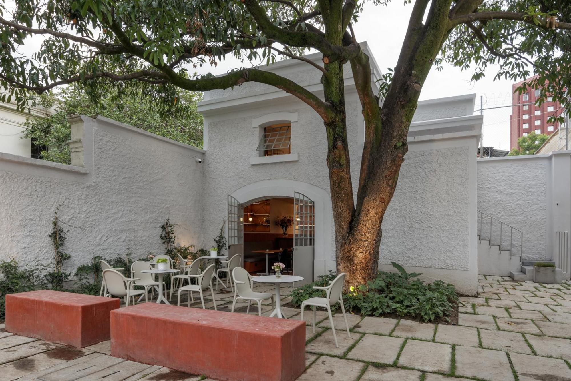 Casa Bosque Eduviges Otel Guadalajara Dış mekan fotoğraf
