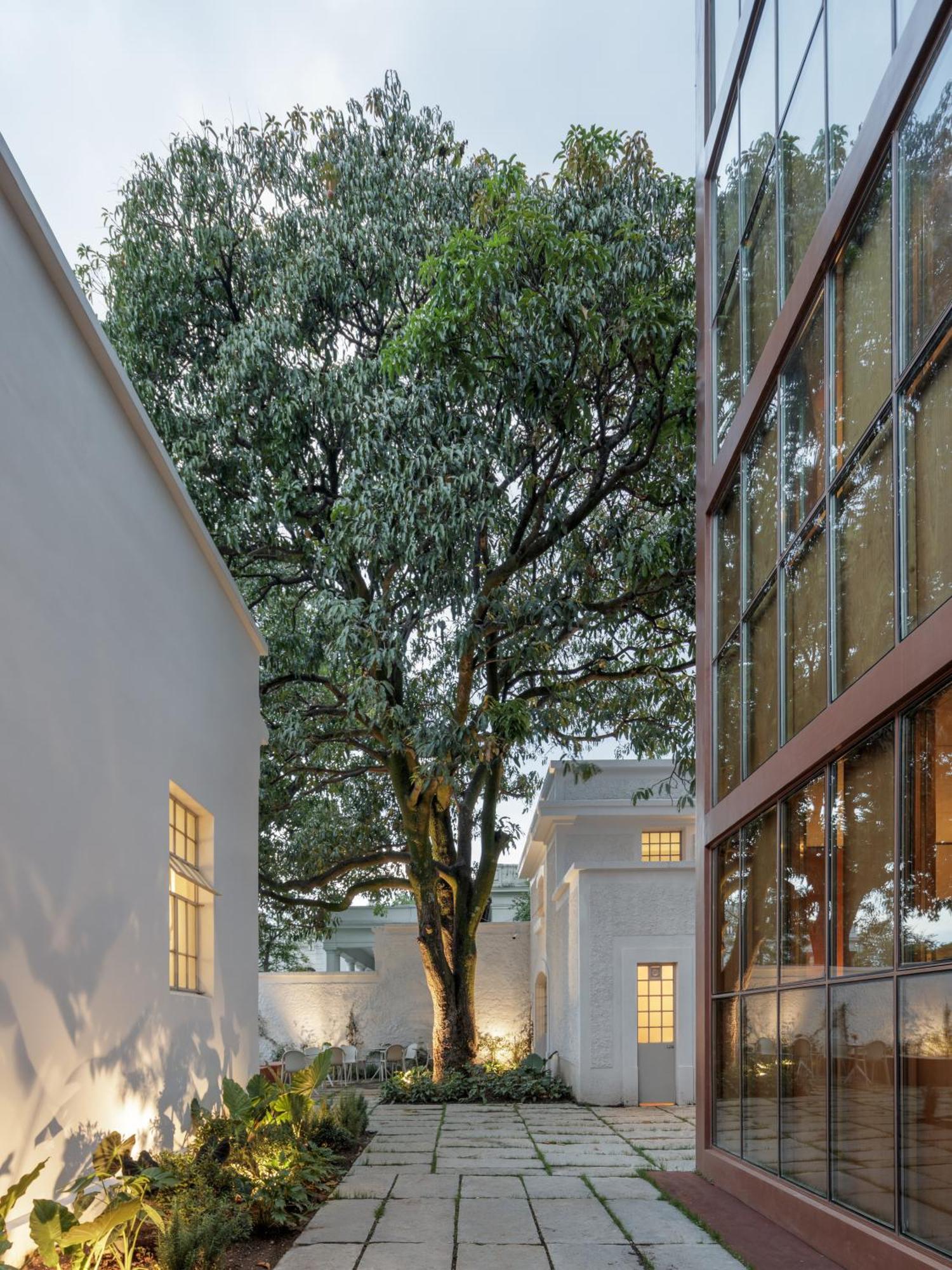 Casa Bosque Eduviges Otel Guadalajara Dış mekan fotoğraf