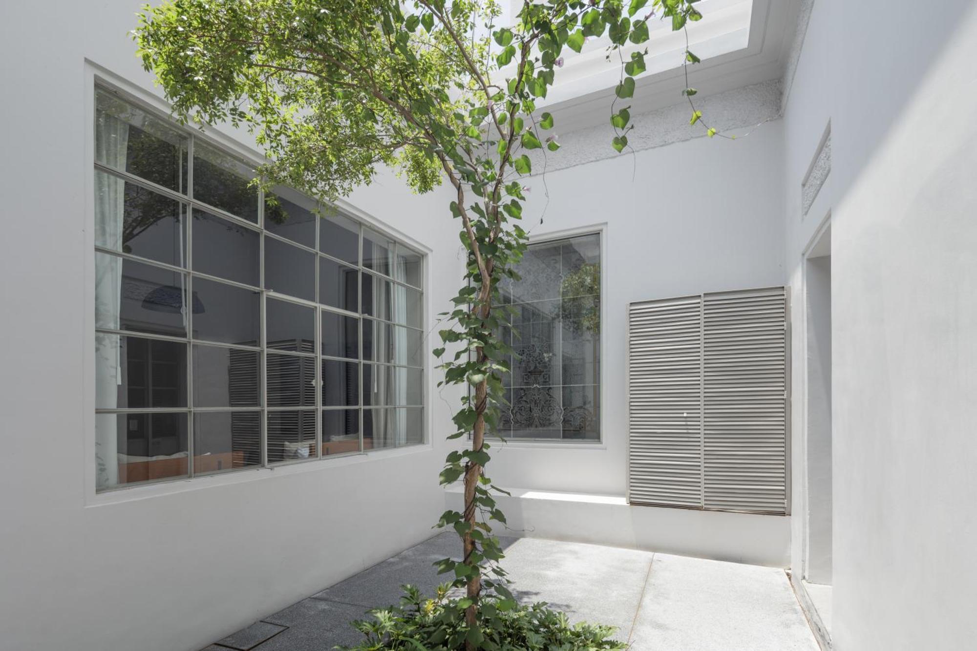 Casa Bosque Eduviges Otel Guadalajara Dış mekan fotoğraf